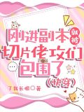 刚进副本就被切片佬攻们包围了(快穿)免费