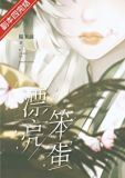 漂亮笨蛋[无限]