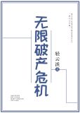 无限破产危机全文阅读