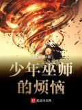 少年巫师的烦恼 小说