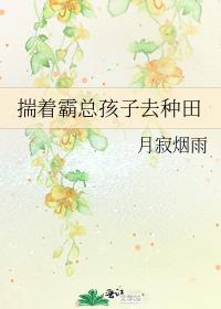 揣着霸总孩子去种田一样的纯爱种田之