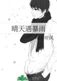 晴天遇暴雨百度云 百度网盘
