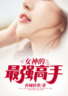 女神的最强高手TXT下载