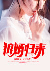 狼婿归来沈飞