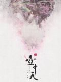 新壶中天 小说