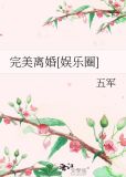 完美离婚[娱乐圈]百度云
