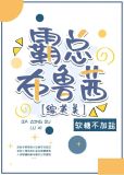 霸总布鲁茜百度云