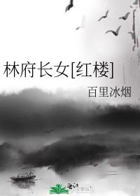 林府长女[红楼]作者:百里冰烟
