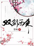 双剑是什么意思