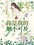 你是我的触不可及壁纸