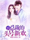 蚀心蚀骨:总裁离婚吧