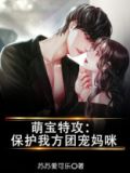萌宝特攻队渣爹接招吧小说