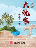 大自然玩家小说
