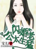 小说名门甜宠闪婚老公