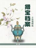 猎宝档案之沧海明珠 辰