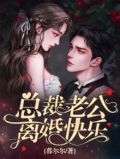 总裁老公离婚快乐TXT