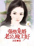 强势宠婚老公晚上好全文免费阅读