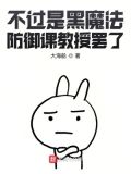不过是黑魔法防御课教授罢了番外