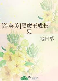 黑魔王在穿越