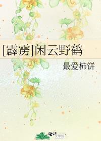 霹雳之闲云野鹤