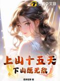 上山十五天,下山既无敌 花车巡游