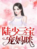 陆少三宝宠妈咪免费
