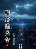 暗影追凶令