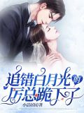 追错白月光的厉总结局