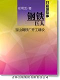 宝山钢铁厂是在何年何地建成的?