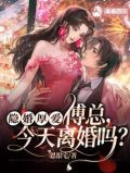 隐婚厚爱傅总今天离婚吗48章免费阅读