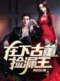 在下古董捡漏王 苏齐
