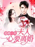 隐婚三年夫人一心要离婚洛乔一的又名