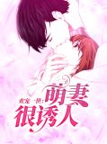 总裁萌妻欢宝小说