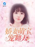 娇妻萌宝宠翻天小说