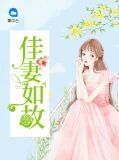 佳妻如宝红马甲小说