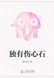 独有伤心石
