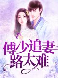 封少追妻路太难电视剧