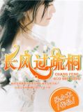 长风过疏桐 呆小木