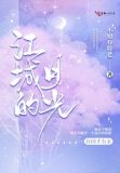 江城的月光小说好看吗