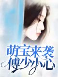 萌宝来袭傅少请留步