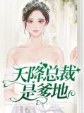 天降总裁爹地景继寒