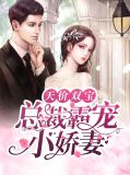 天价宠儿霸道总裁娇宠妻记