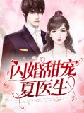 闪婚医生小说