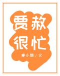 贾赦很忙 小说