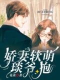 娇妻萌宝帝少暖暖的爱