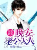 宠妻n+1:老公,晚安