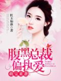 萌宝一加一腹黑总裁电视剧