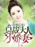 先婚后宠:总裁大人小娇妻 笔趣阁