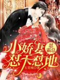 小娇妻怂天怂地,怂霸总