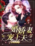 独占第一冷少爱妻入骨